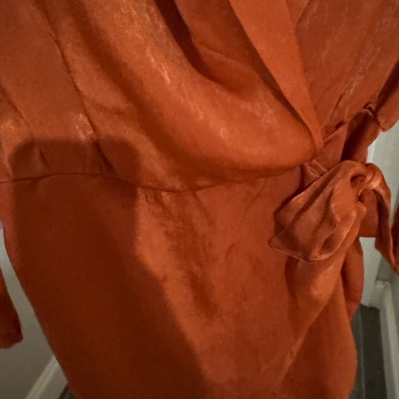 Orange Long Sleeve Sheath Dress with Plunge Neckline - Picture 5 of 11